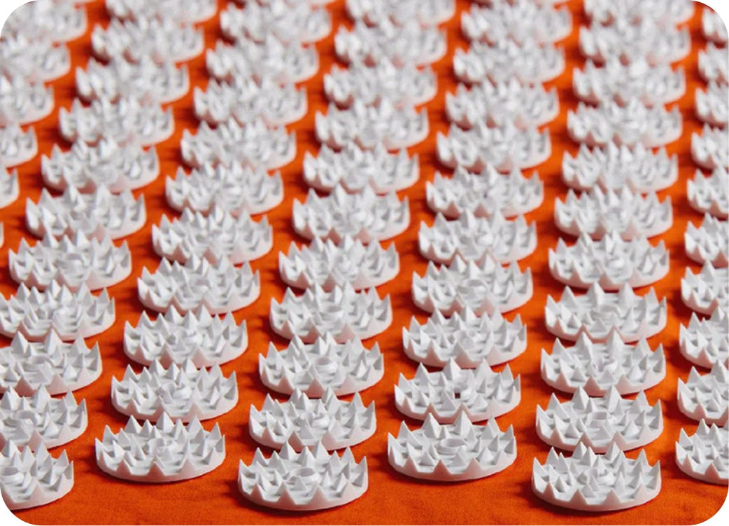 DENTELLI DI SHAKTI FIRMATI
